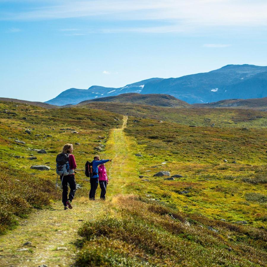 Sommerhotellet Vang I Valdres Dış mekan fotoğraf